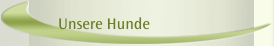 Unsere Hunde