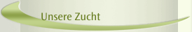 Unsere Zucht
