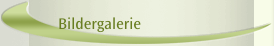 Bildergalerie