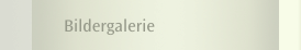 Bildergalerie